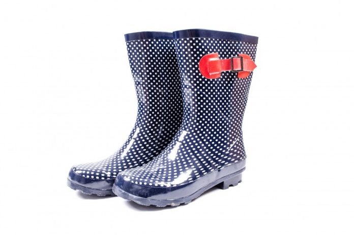 Wellies 1632310952